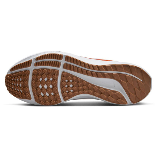 Nike Air Zoom Pegasus 39